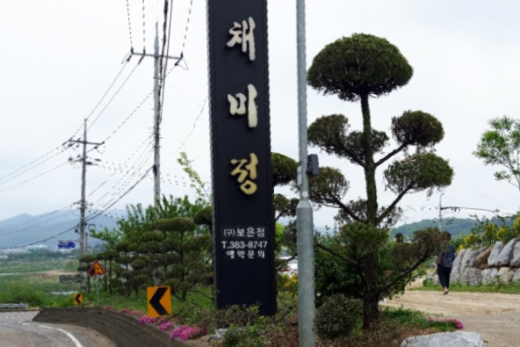 채미정