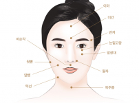 아틀리에 성형외과 :: 얼굴/피부 :: 필러/보톡스